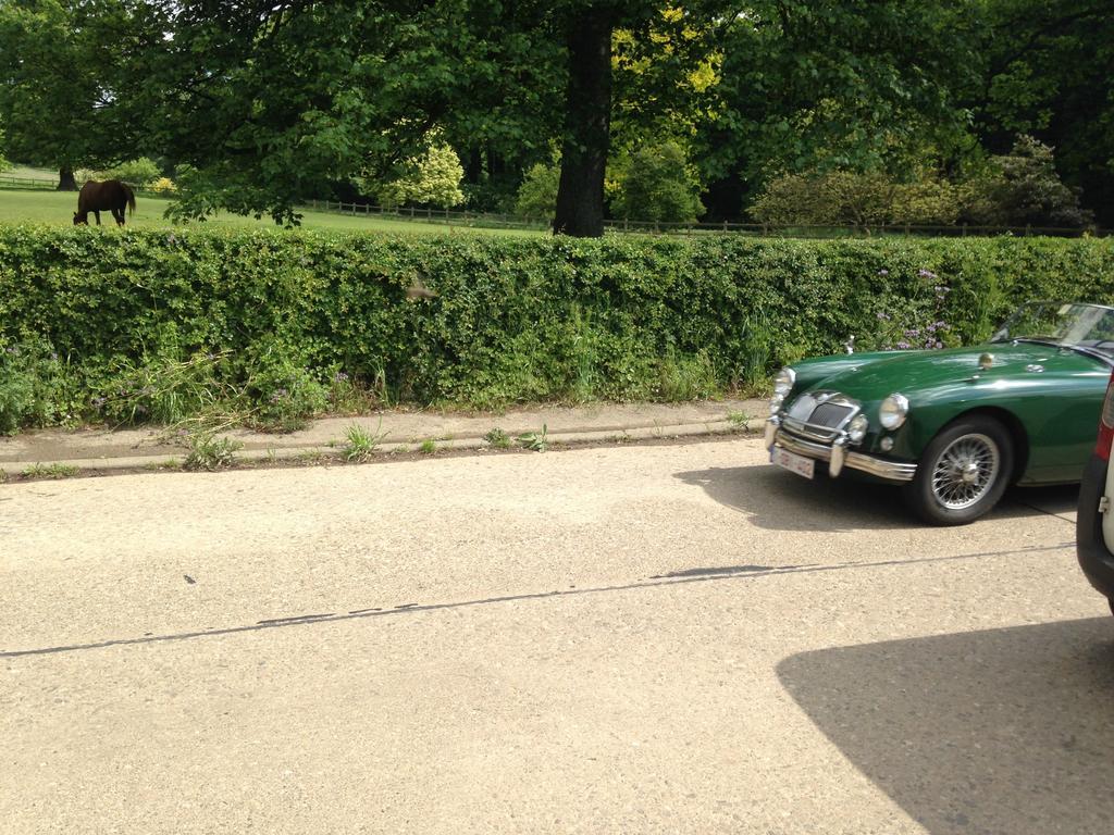 B&B De Henehoeve Heks エクステリア 写真