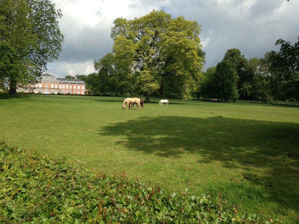 B&B De Henehoeve Heks エクステリア 写真