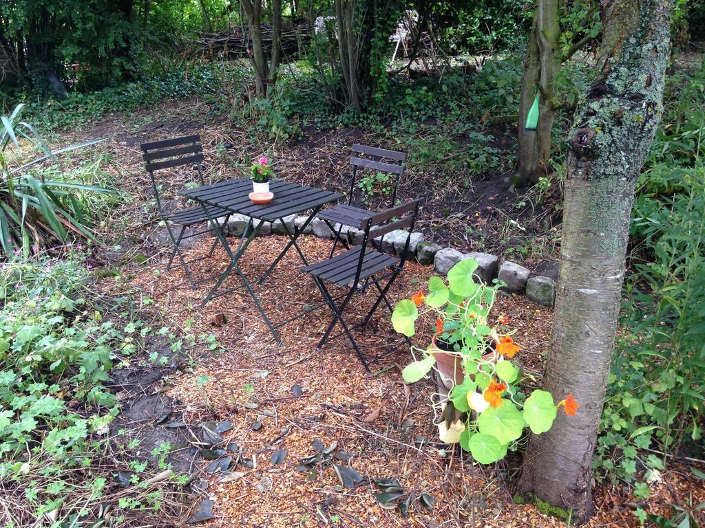 B&B De Henehoeve Heks エクステリア 写真
