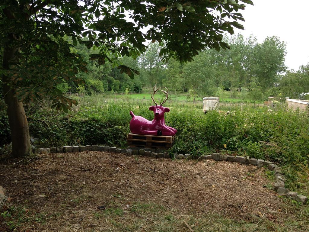 B&B De Henehoeve Heks エクステリア 写真