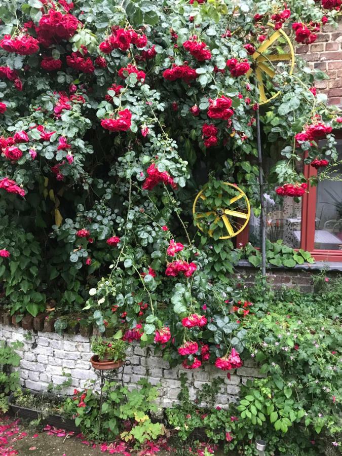 B&B De Henehoeve Heks エクステリア 写真